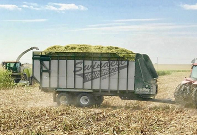 Forage Wagons